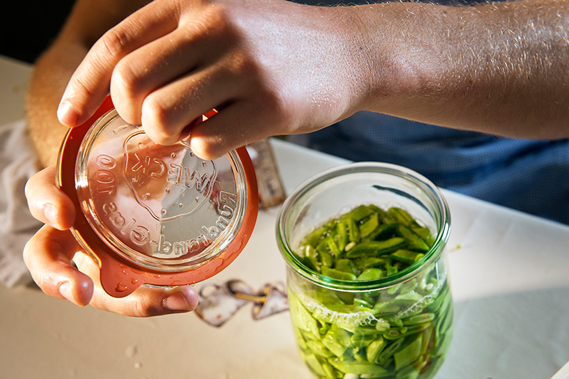 Tuinbonen wekken in een potje